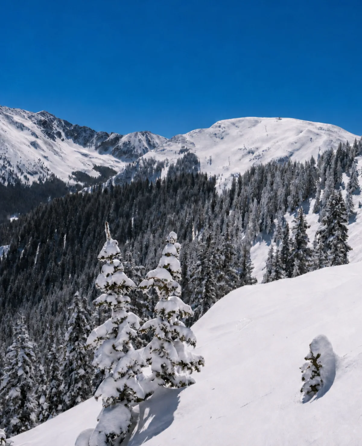 Bluebird day in the Sangre de Cristo Mountains
